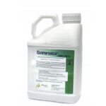 Dominator Clean 5L