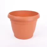 Ghiveci Diana 0,81 L