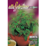 Menta