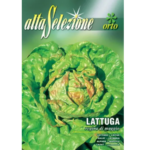 Salata Regina Di Maggio