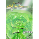 Salata S.Anna
