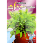 Salvia Medicinala