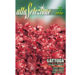 Salata Rossa Ricciolina