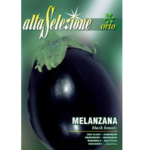 Vinete Black Beauty