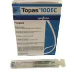 Topas 100 EC 3ML