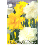 Narcise/ Narcissus Duo Double White&Yellow (8buc)