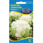 Conopidă Snowball X 1G