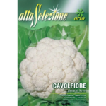 Conopida Palla Di Neve