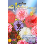 Albastrele Cu Flori Duble Multicolor
