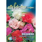 Balsamina Floare De Camelie Multicolor