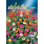Carciumareasa Pitica Thumbelina Multicolor