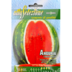 Pepene Verde Crimson Sweet