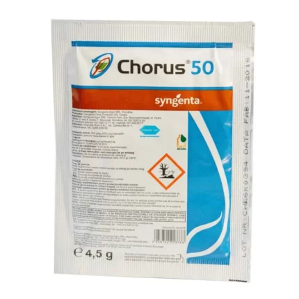 Chorus 50