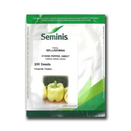 seminte ardei belladonna
