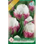 Lalele/ Tulipa double late Ice Cream (4buc)