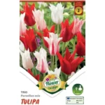 Lalele/ Tulipa Trio Porzellan Mix (9buc)
