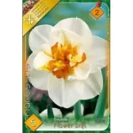 Narcise/ Narcissus Flower Drift (5buc)