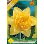 Narcise/ Narcissus Dick Wilden (5buc)