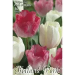 Lalele/ Tulipa duo Pink&White (10buc)