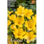 Fresia single yellow