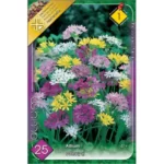Allium stancarie mixed