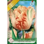 Lalele/ Tulipa parrot Apricot Parrot (10buc)