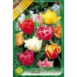 Lalele/Tulipa double early mixed (10buc)