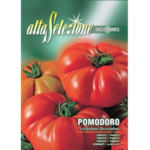 Tomate Marmande