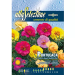 Floare De Piatra Flori Duble Multicolor