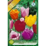 Lalele/ Tulipa fringed Crispa mixed (10buc)