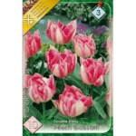 Lalele/Tulipa double early Peach Blossom (10buc)