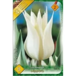 Lalele/ Tulipa lily flowered Sapporo (8buc)