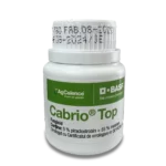Cabrio Top