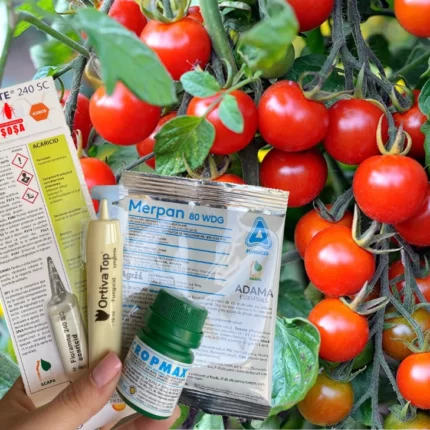 Tratament legume Fitofarmacia Sosa