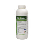 Talisman 1L