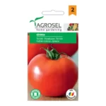 Tomate Ghittia