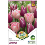 Lalele/Tulipa Duo Claudia & Foxtrot (8 buc)