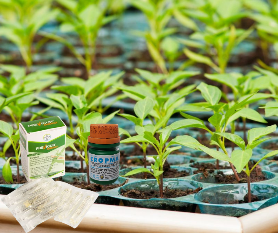 Design fără titlu (18)