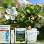 Tratament Pomi Fructiferi Pentru Scuturarea Florilor 20-30%