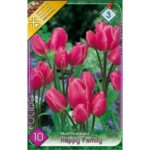 Lalele/Tulipa Happy Family (10 buc)