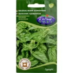 Busuioc Verde