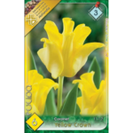 Lalele/Tulipa Yellow Crown (6 buc)