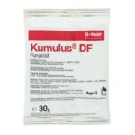 Kumulus Fungicid 30G