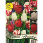 Lalele/Tulipa Red & White Mix (18 buc)
