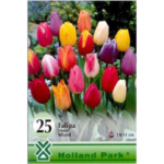 Lalele/Tulipa Triumph Mixed (25 buc)