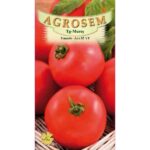 Tomate Ace 55 0,4G