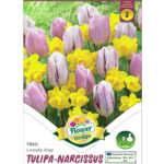 Lalele/ Tulipa Trio Lovely Day (9buc)