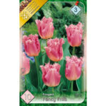 Lalele/Tulipa Fancy Frills (10 Buc)