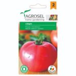 Tomate Lillagro