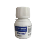 Cantus 10G